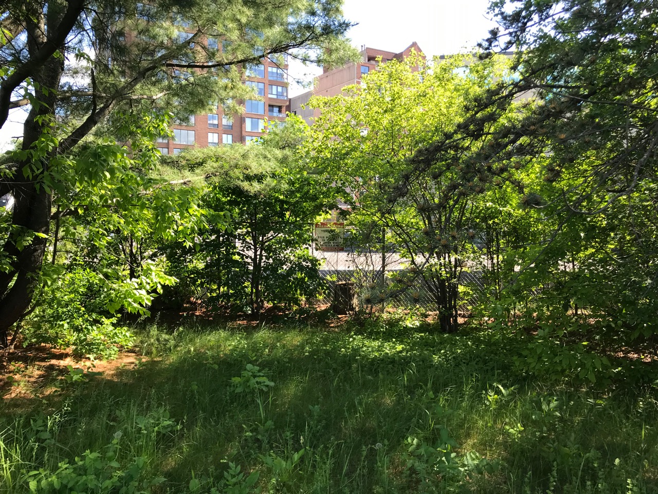 Mechanicsville vacant lot