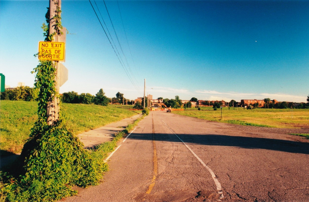 LeBreton decay: Overgrown sidewalk of Broad Steet