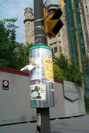 Poster Collar Image: One of the many poster collars on parade in downtown Ottawa